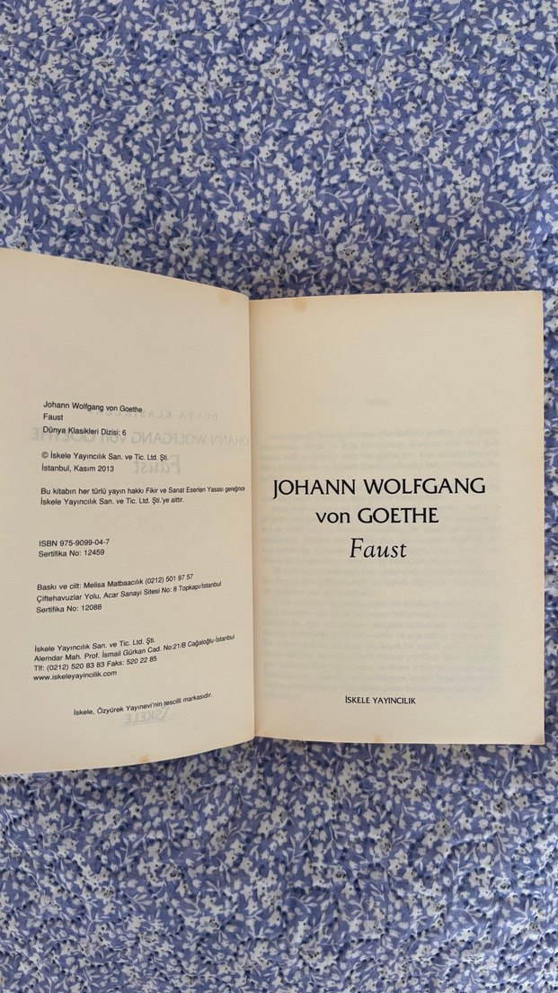 Dünya Klasikleri: Goethe - Faust Roman - Görsel 3