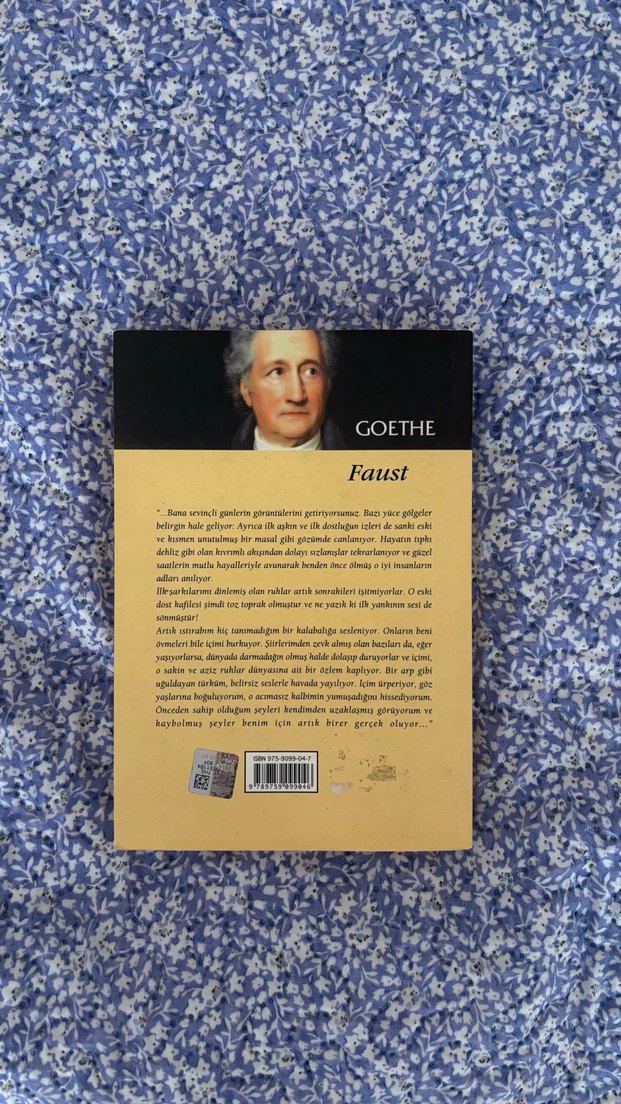 Dünya Klasikleri: Goethe - Faust Roman - Görsel 2