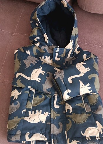 Erkek Çocuk Kapüşonlu Baskılı Mont - Görsel 2