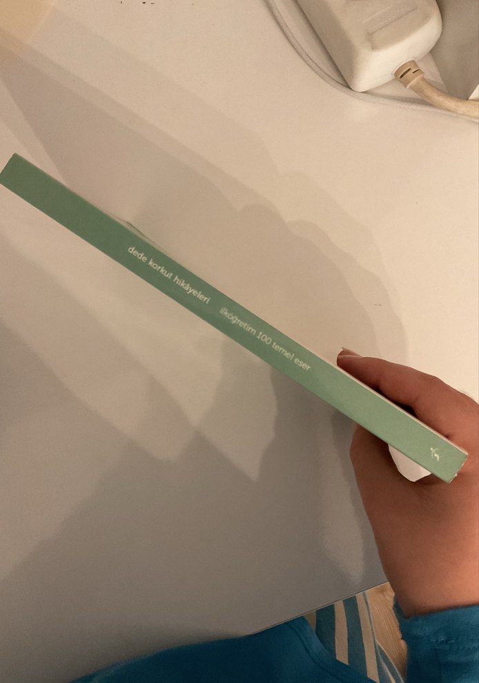 Dede Korkut Hikayeleri Kitabı - Görsel 3