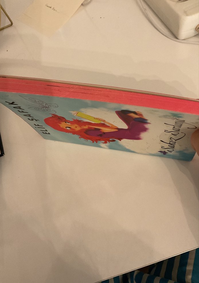 Sakız Sardunya - Elif Şafak - Görsel 4