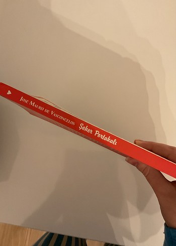 Şeker Portakalı - José Mauro de Vasconcelos - Görsel 3