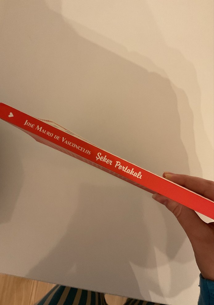 Şeker Portakalı - José Mauro de Vasconcelos - Görsel 3