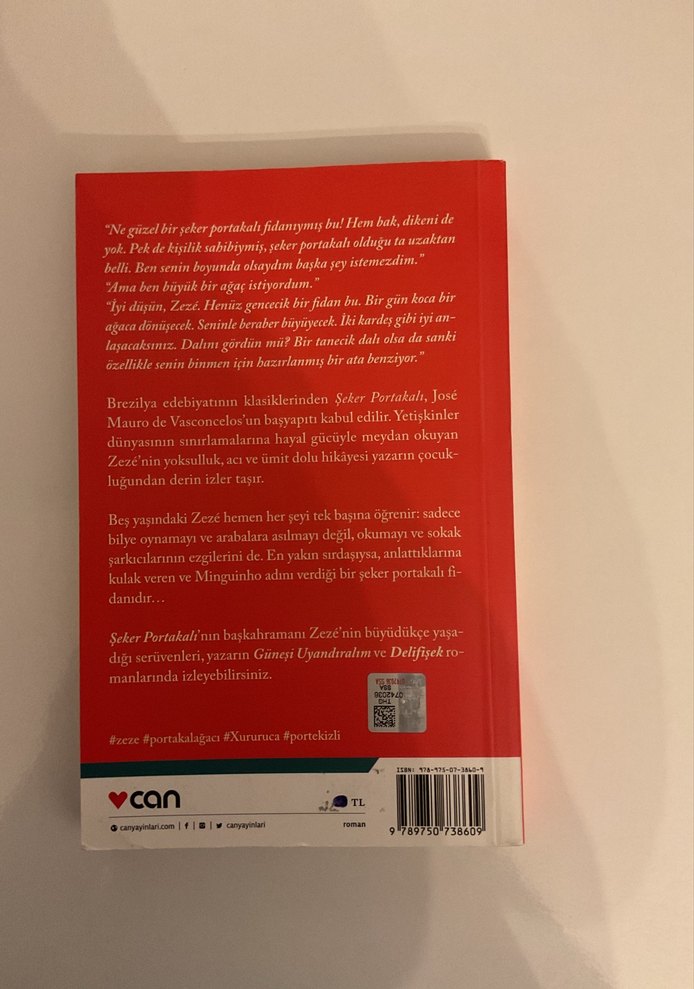 Şeker Portakalı - José Mauro de Vasconcelos - Görsel 2