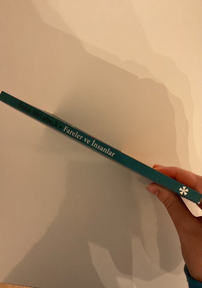 Fareler ve İnsanlar - John Steinbeck - Görsel 3