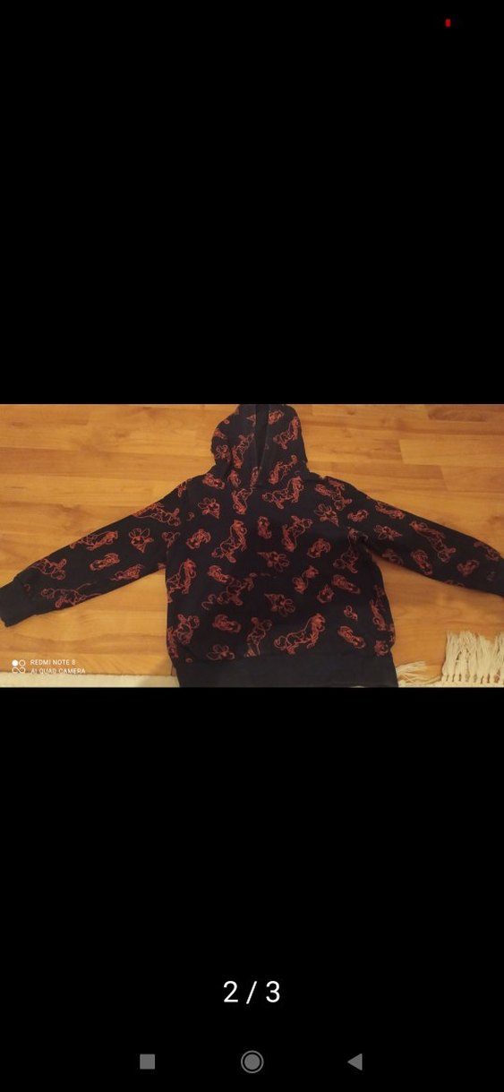 Koyu Siyah Kapüşonlu Erkek Çocuk Sweatshirt at figürlü - Görsel 3