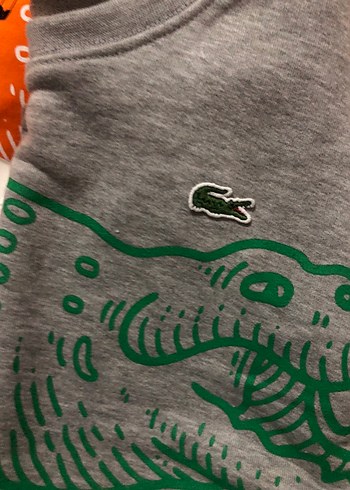 Lacoste Erkek Gri Baskılı Sweatshirt gri ve kavuniçi - Görsel 2