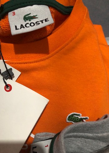 Lacoste Erkek Gri Baskılı Sweatshirt gri ve kavuniçi - Görsel 3