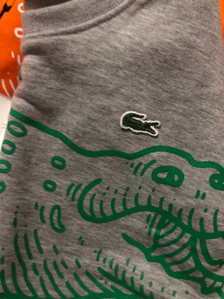 Lacoste Erkek Gri Baskılı Sweatshirt gri ve kavuniçi - Görsel 2
