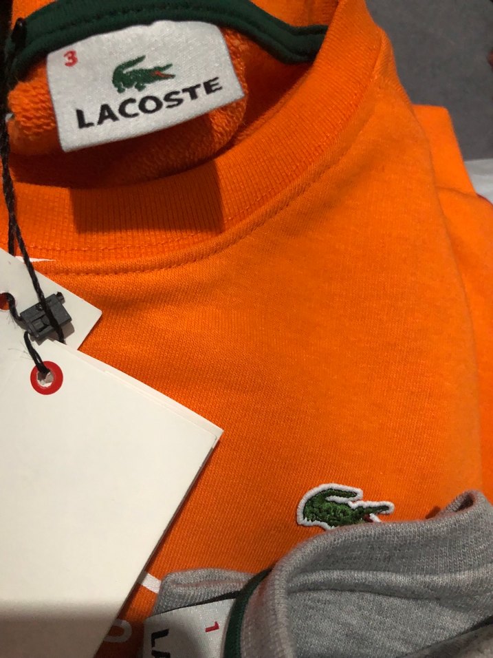 Lacoste Erkek Gri Baskılı Sweatshirt gri ve kavuniçi - Görsel 3