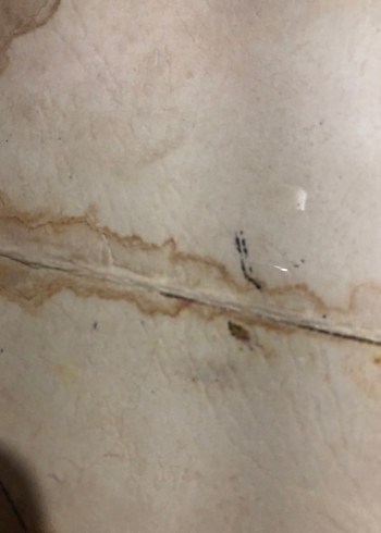 Osmanlıca El Yazması Belge sultan Mehmet - Görsel 8