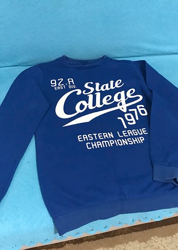 Mavi Erkek Sweatshirt, Uzun Kollu, Baskılı - Görsel 2