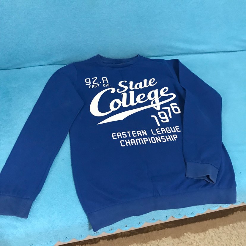 Mavi Erkek Sweatshirt, Uzun Kollu, Baskılı - Görsel 2