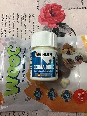 Köpek bakım tableti