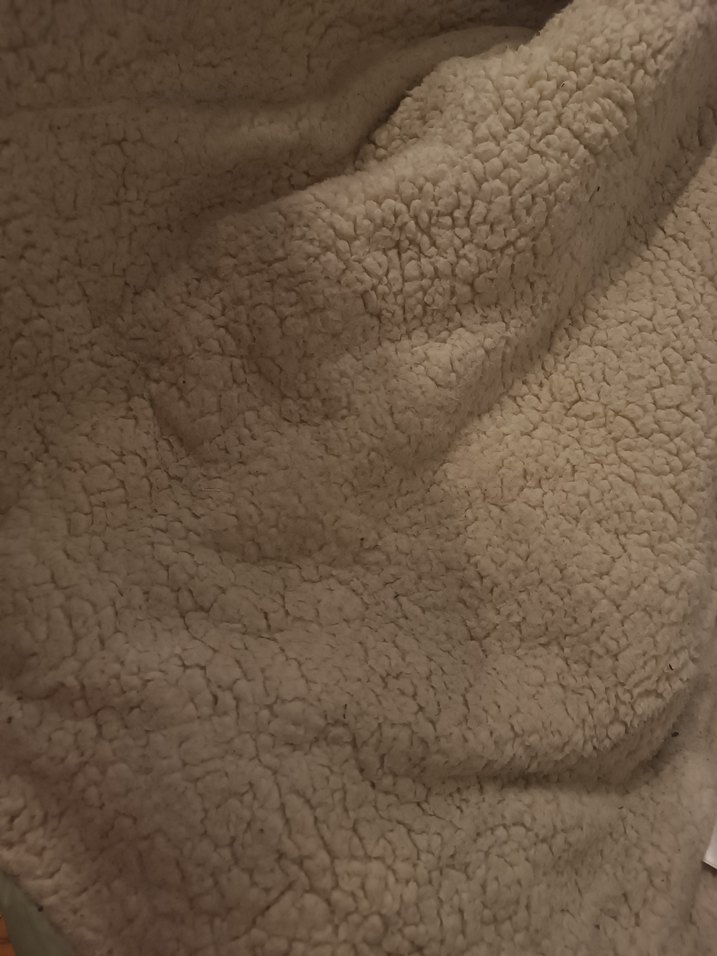 LCW Kids Kapüşonlu Kız Çocuk Mont - Görsel 3