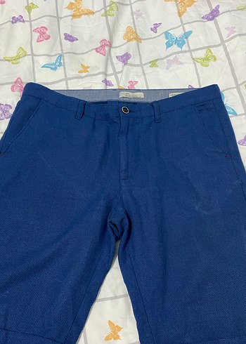 Erkek kapri - Görsel 2