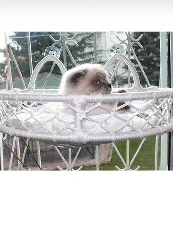 Beyaz Askılı Kedi Yatağı - Görsel 2