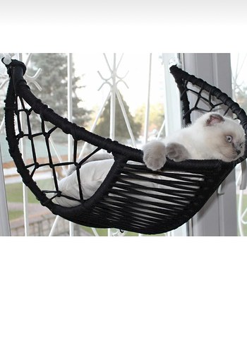 Gri Kedi Hamak Yatak - Görsel 2