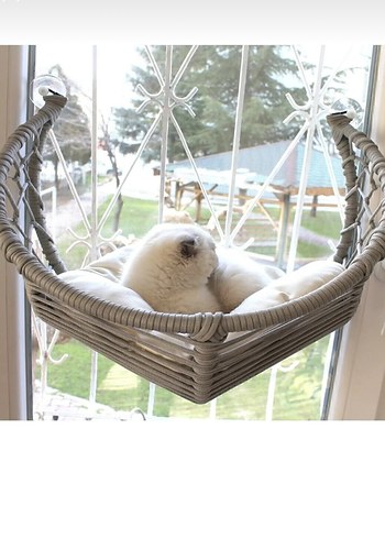 Bej ve Gri Kedi Hamak - Görsel 2