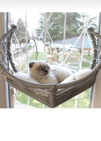 Bej ve Gri Kedi Hamak - Görsel 3