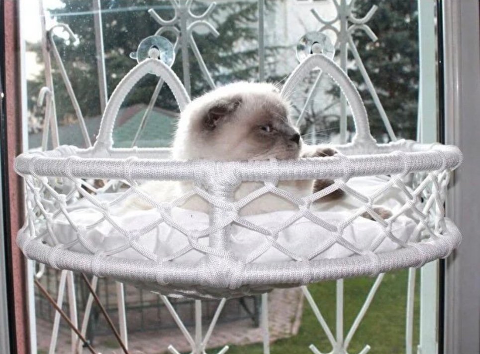 Kedi Cam Yatağı & Güçlü Vantuzlu Cam Yatağı - Görsel 3