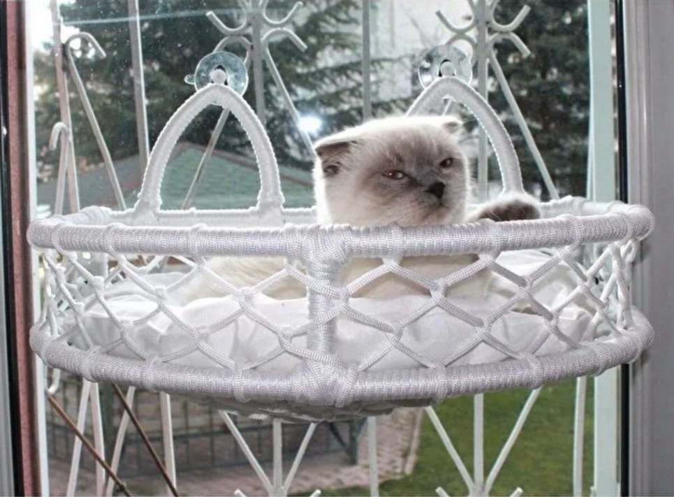 Kedi Cam Yatağı & Güçlü Vantuzlu Cam Yatağı - Görsel 2