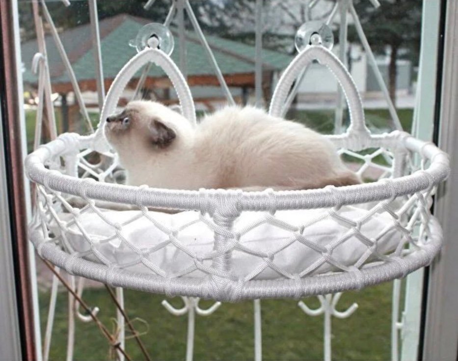 Kedi Cam Yatağı & Güçlü Vantuzlu Cam Yatağı - Görsel 4