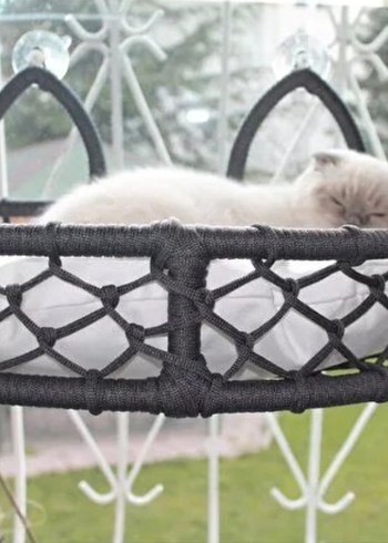 Kedi Cam Yatağı & Güçlü Vantuzlu Cam Yatağı - Görsel 3