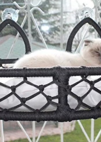 Kedi Cam Yatağı & Güçlü Vantuzlu Cam Yatağı - Görsel 2