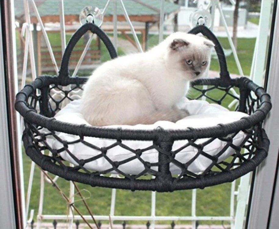 Kedi Cam Yatağı & Güçlü Vantuzlu Cam Yatağı - Görsel 4