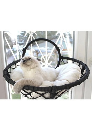 Kedi Cam Yatağı & Cam Vantuzlu Kedi Yatağı &Güçlü Vantuzlu Siyah - Görsel 2