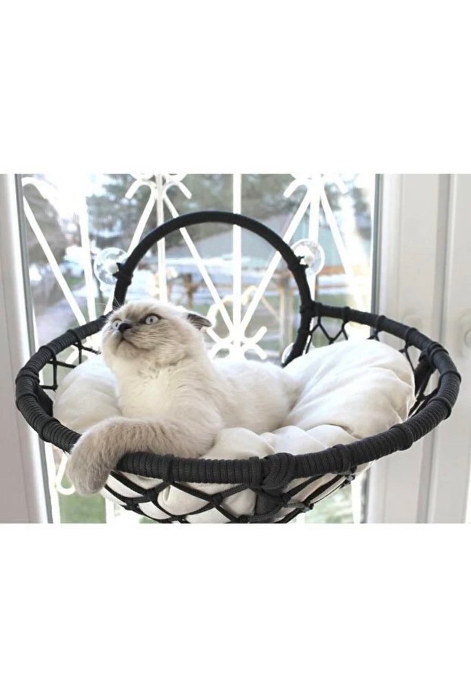 Kedi Cam Yatağı & Cam Vantuzlu Kedi Yatağı &Güçlü Vantuzlu Siyah - Görsel 2