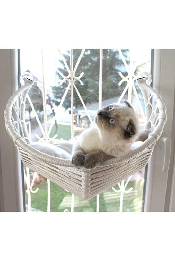 Kedi Cam Yatağı & Cam Askılı Vantuzlu Kedi Yatağı Beyaz - Görsel 3