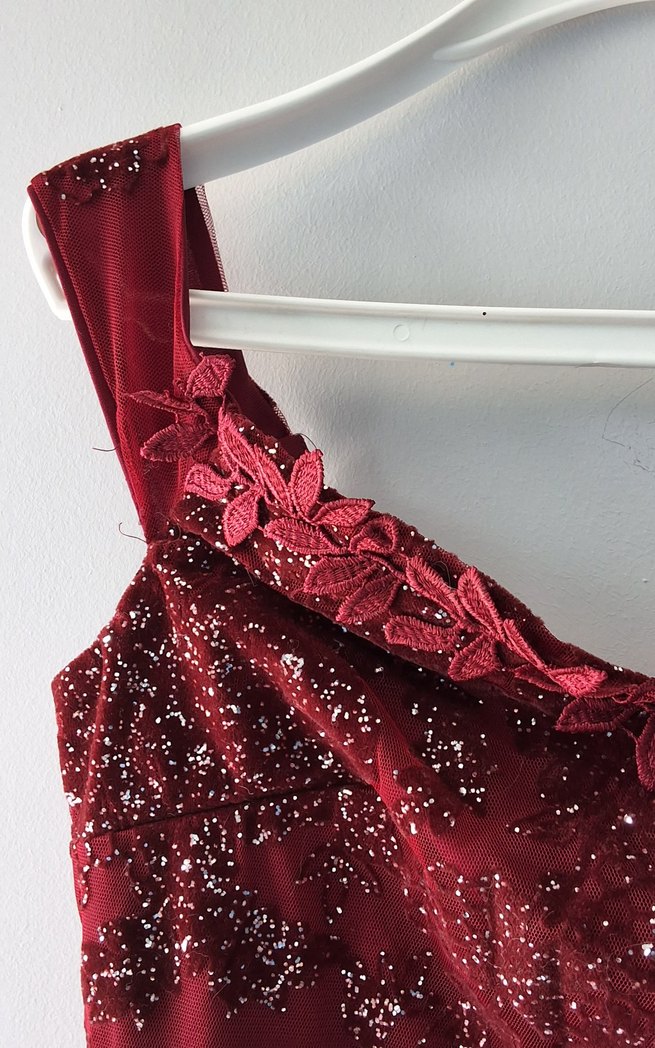 Bordo Tül  İşlemeli Uzun Abiye Elbise - Görsel 5