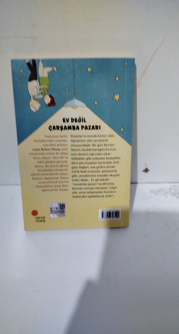 Ev Değil Çarşamba Pazarı - Leyla Ruhan Okyay - Görsel 5