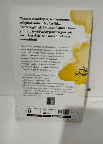 Canım Arkadaşım - Özgür Balpınar - Görsel 4