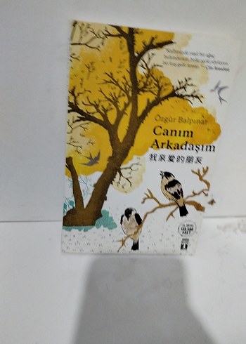 Canım Arkadaşım - Özgür Balpınar - Görsel 3