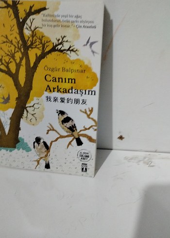 Canım Arkadaşım - Özgür Balpınar - Görsel 2