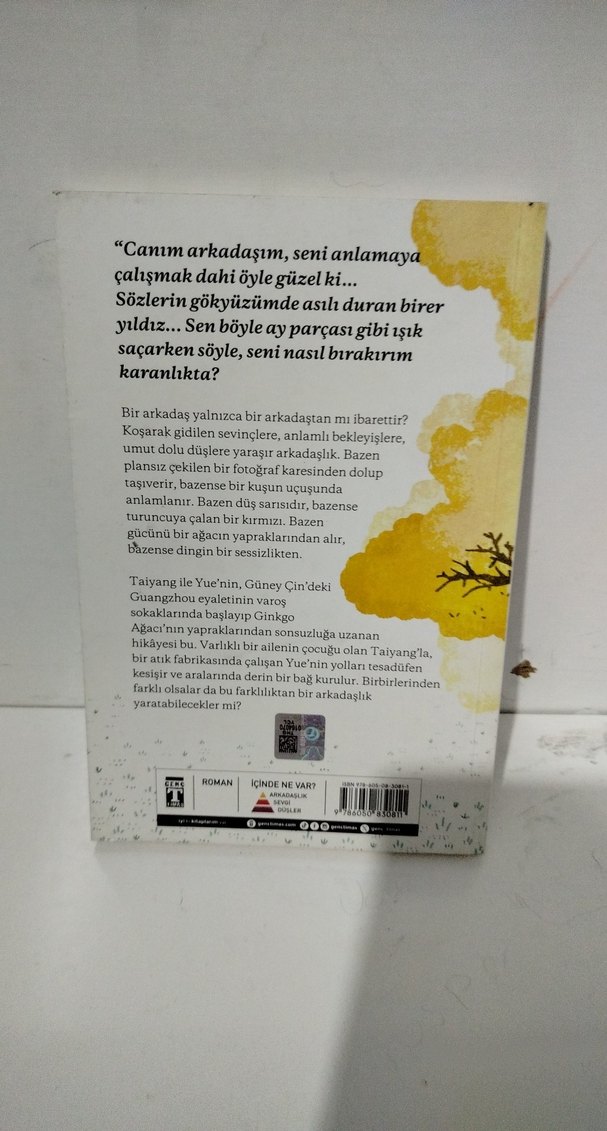 Canım Arkadaşım - Özgür Balpınar - Görsel 4