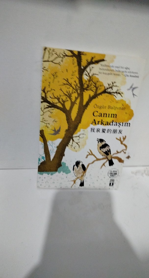 Canım Arkadaşım - Özgür Balpınar - Görsel 3