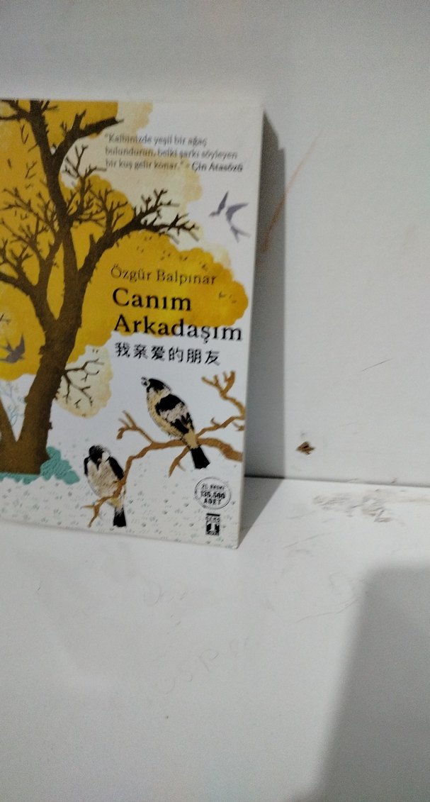 Canım Arkadaşım - Özgür Balpınar - Görsel 2