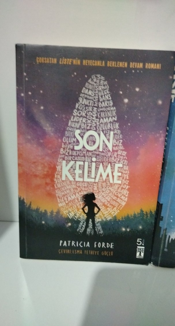 Patricia Forde'den Son Kelime ve Liste Romanları - Görsel 3