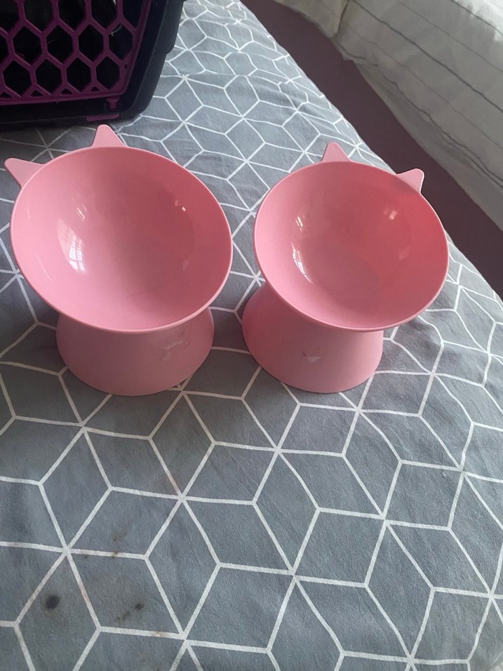 Beyaz Kedi Tüy Bakım Fırçası, 2 Tane yemek kabı - Görsel 2