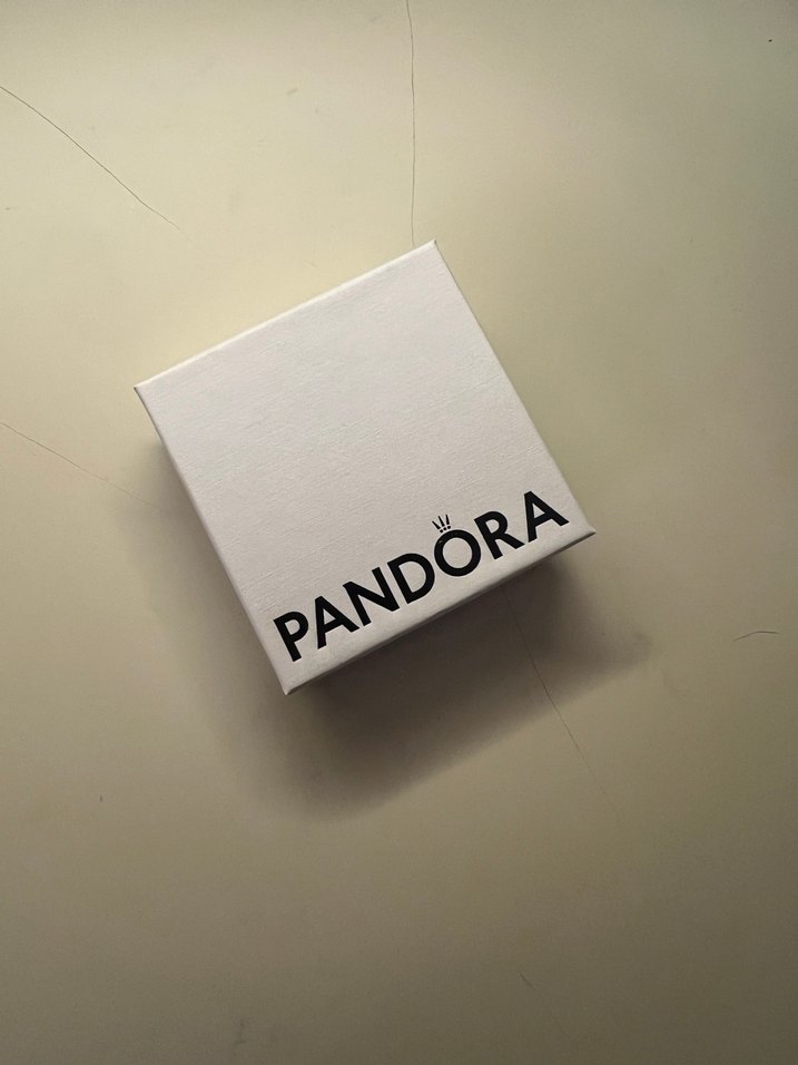 Gece Gündüz Stopper Klips Charm 925ale Pandora - Görsel 2