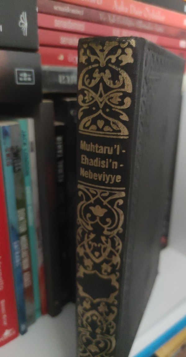 Muhtaru'l-Ehadis'in Nebeviyye Tercümesi - Görsel 3