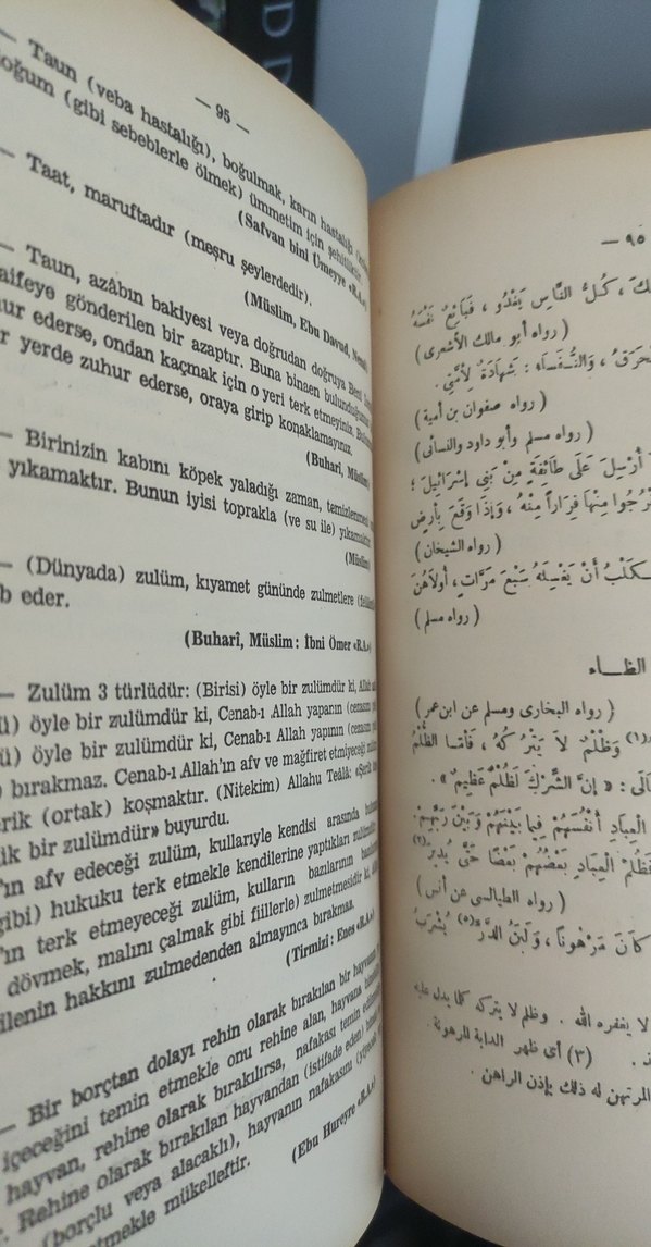 Muhtaru'l-Ehadis'in Nebeviyye Tercümesi - Görsel 4