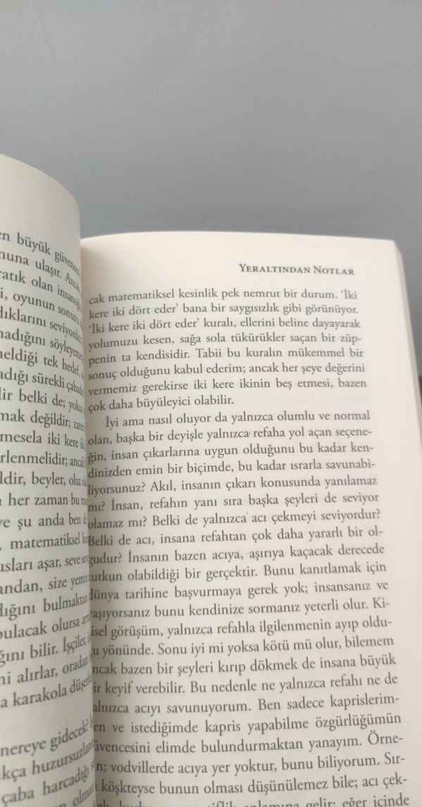 Yeraltından Notlar - Fyodor Dostoyevski - Görsel 3