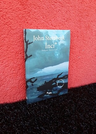 Steinbeck inci