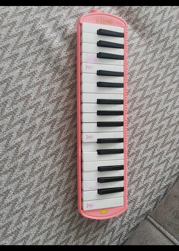 Pembe Melodika Klavye - Görsel 2