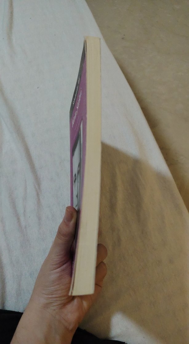 Sabahattin Ali Bütün Şiirleri - Yapı Kredi Yayınları - Görsel 2